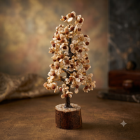 Rudraksha Cowrie Shell Bonsai Tree – Meditation and Spirituality | Soulolith